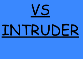 VS 600 Intruder