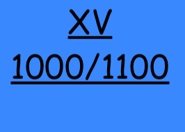 XV 1000/1100